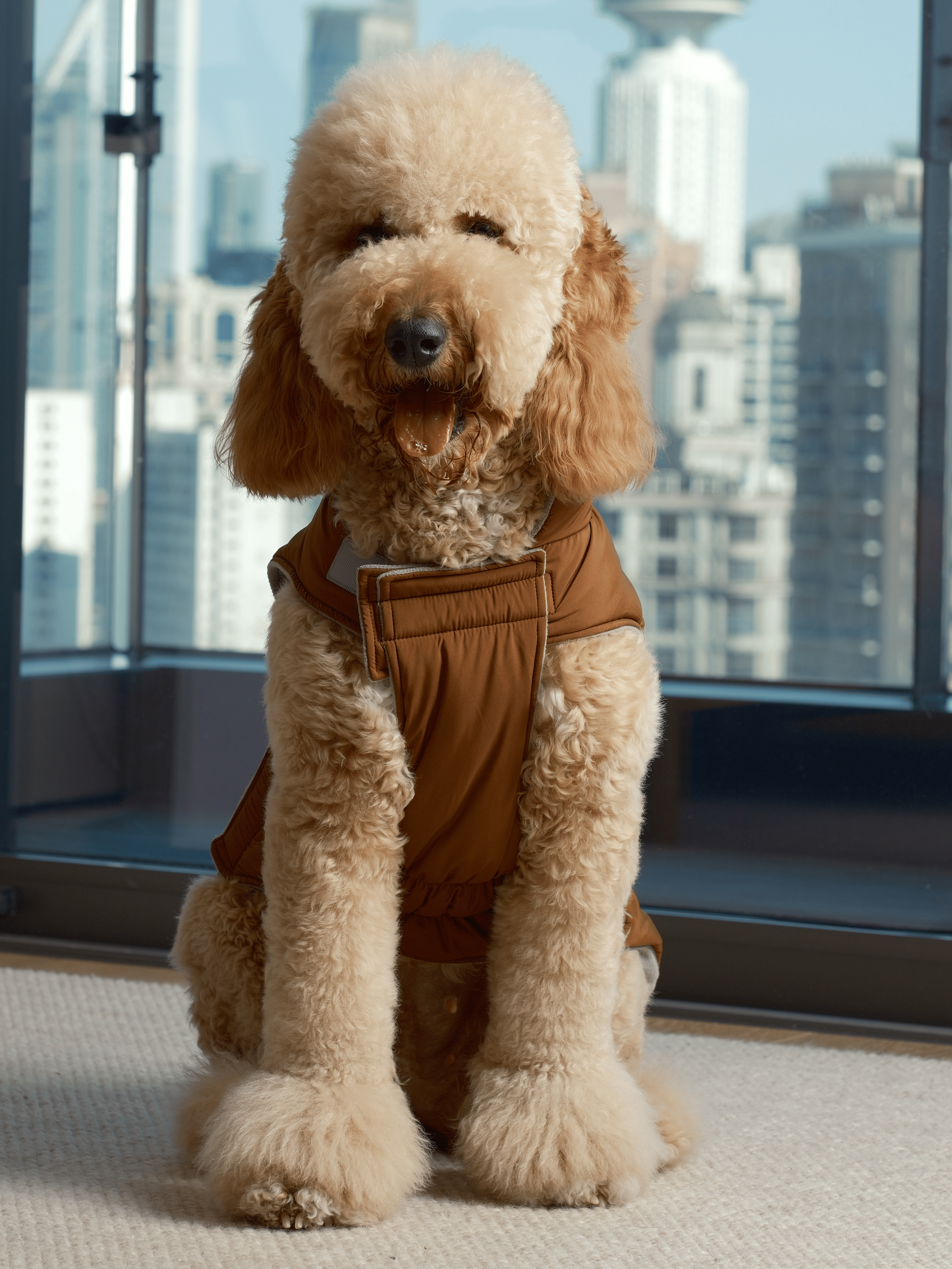 PEHOM - Wholesale Pet Vest - Dog - Reversible Dog Vest Jacket - Orange Grey6