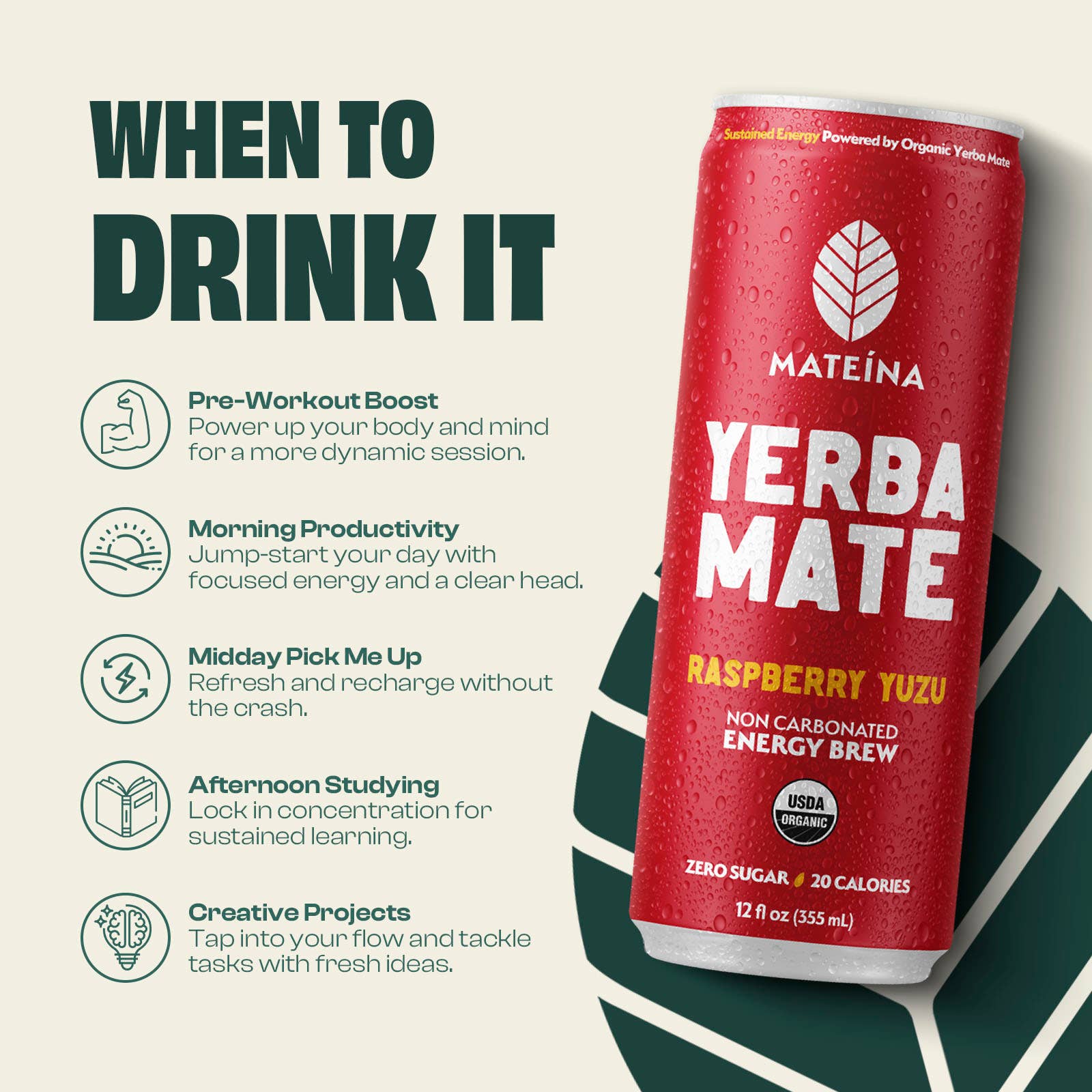 Mateina - Wholesale Sports/Energy Drink - Raspberry Yuzu | Mateina Yerba Mate 12 Pack (12oz Cans)5