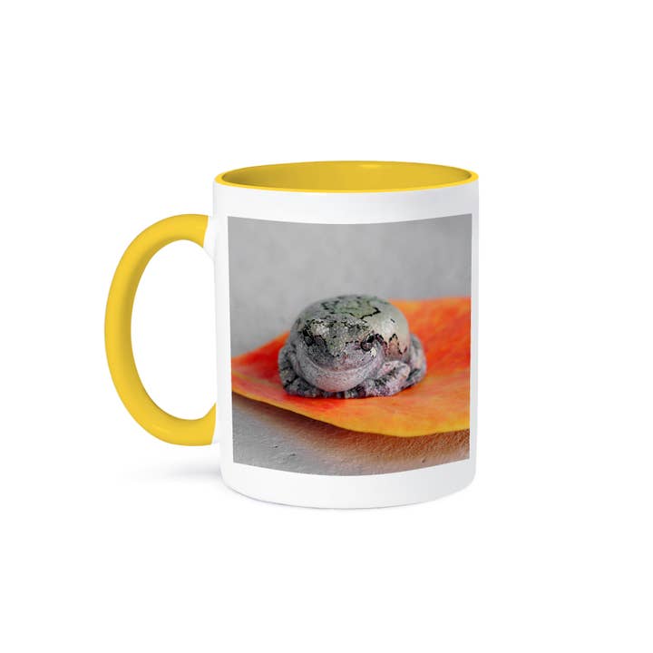 3dRose - Wholesale Coffee Mug - 3dRose, A macro photograph of a gray treefrog on an orange leaf., Mug