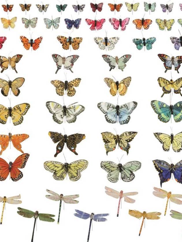 Assorted Butterflies & Dragonflies (144 PC) for wholesale by Thompson Wholesale