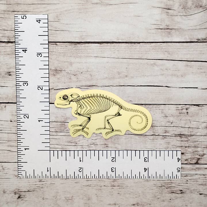 Fable & Fen, LLC - Wholesale Sticker - Bare Bones Chameleon Sticker2