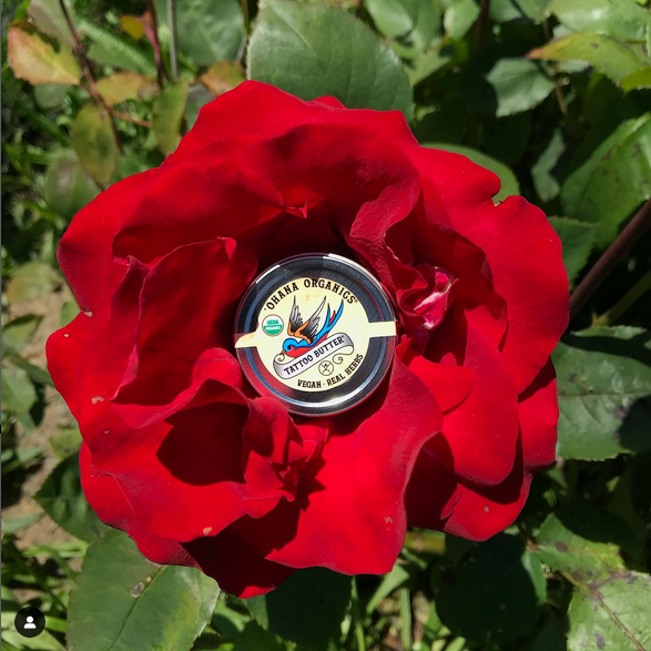 'Ohana Organics - Vente Pommades/soins pour tatouage - Beurre de Tatouage Bio - Non Parfumé, 2 Tailles (Lots de 6)4