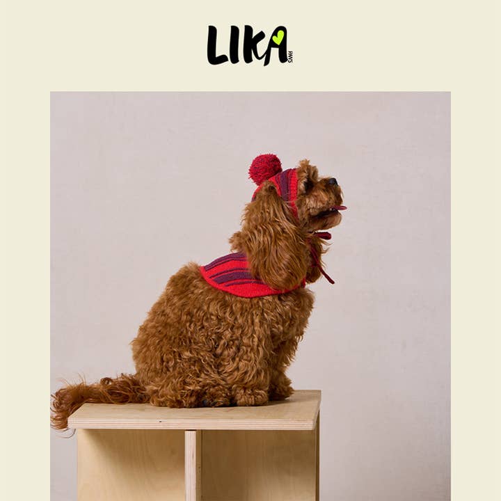 Likapaws / Heinemann Trading GbR - Wholesale Pet Scarf - Cat/Dog - Christmas Pet Hat & Cloak Set5