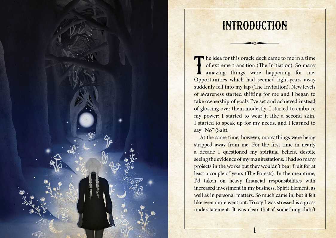 Simon & Schuster - Wholesale Tarot Cards - Witching Hour Oracle by Lorriane Anderson4