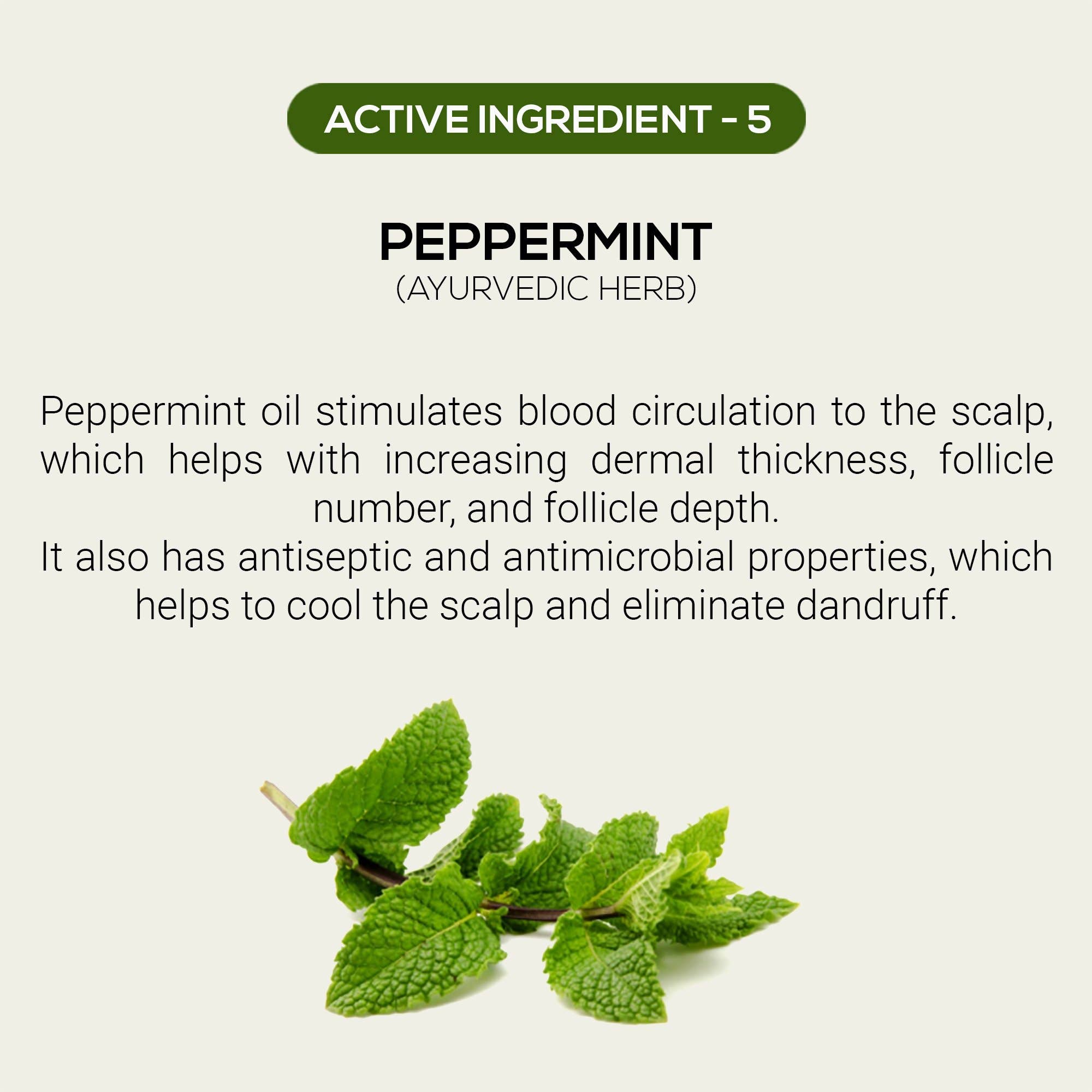 Rthvi - Wholesale Hair Serum - Restore Advanced Hair Thickening Serum6