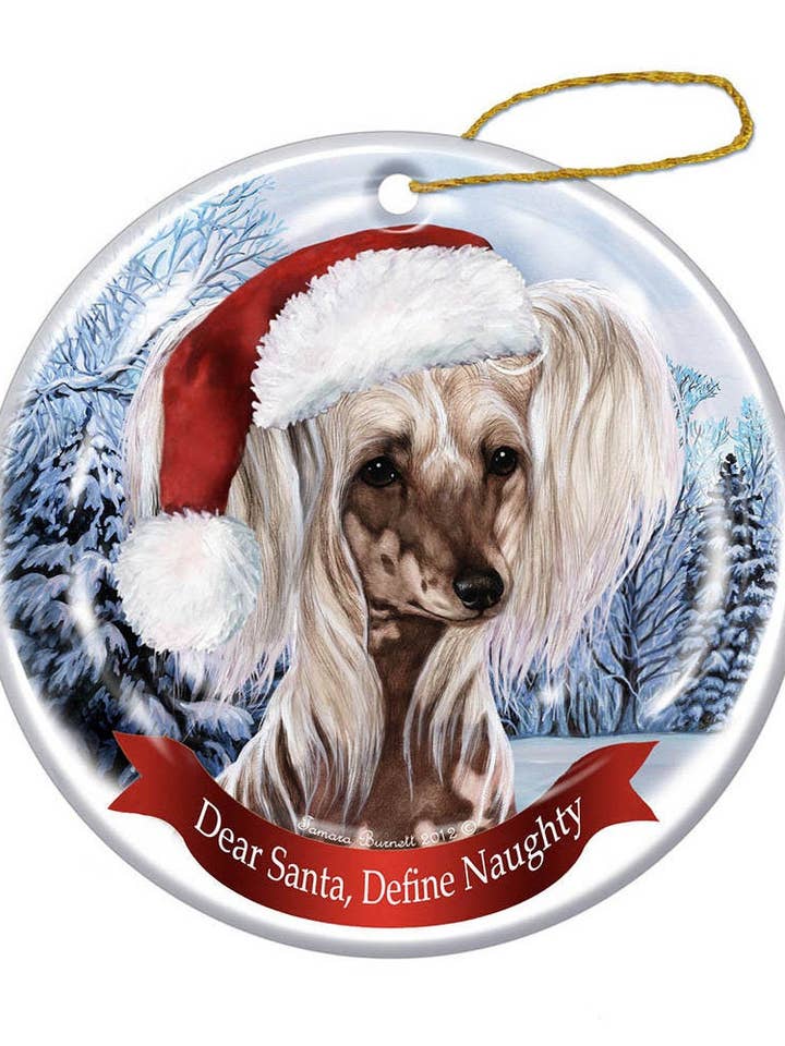 Holiday Pet Gifts Chinois Chapeau de Père Noël à crête pour chien pour la vente par Pet Gifts USA, LLC