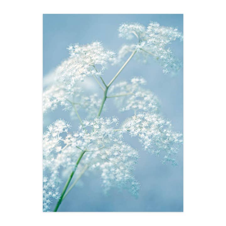 Ansichtkaart "Licht als een veertje" voor wholesale door paruspaper. nutzfeine papeterie