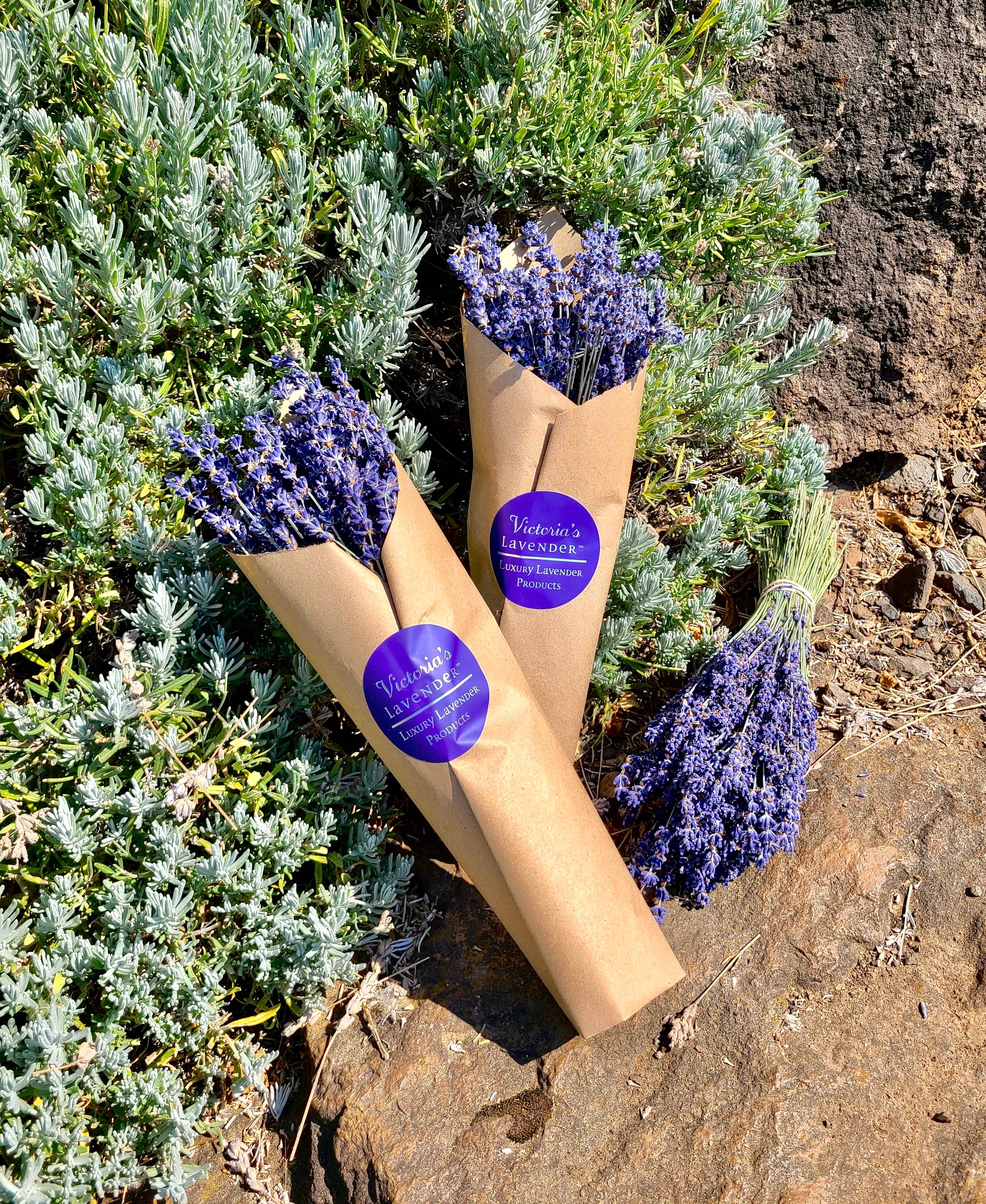 Victoria's Lavender, LLC - Wholesale Gedroogde/geperste bloemen - Gedroogde lavendelboeketten - Engels1