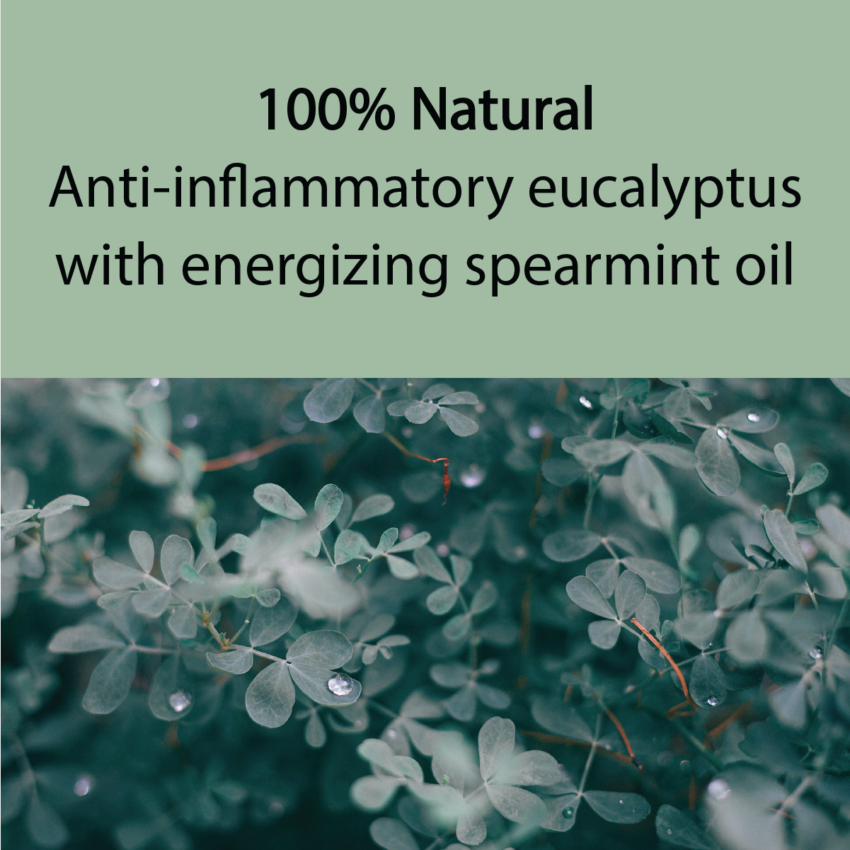 Joy Lane Farm - Wholesale Bar Soap - Handcrafted Artisan Natural Local Eucalyptus Goat Milk Soap1