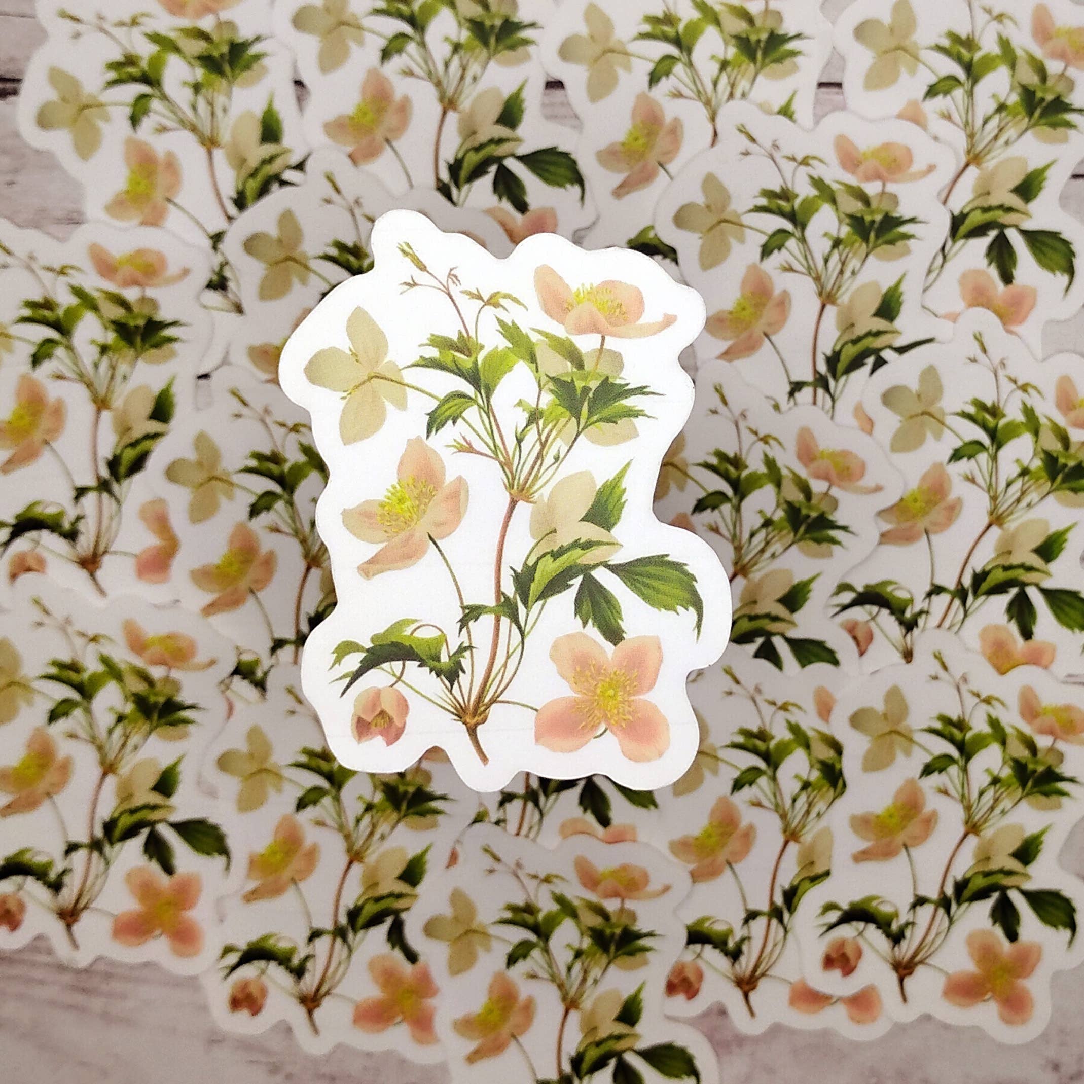 Fable & Fen, LLC - Wholesale Sticker - Clematis Sticker0