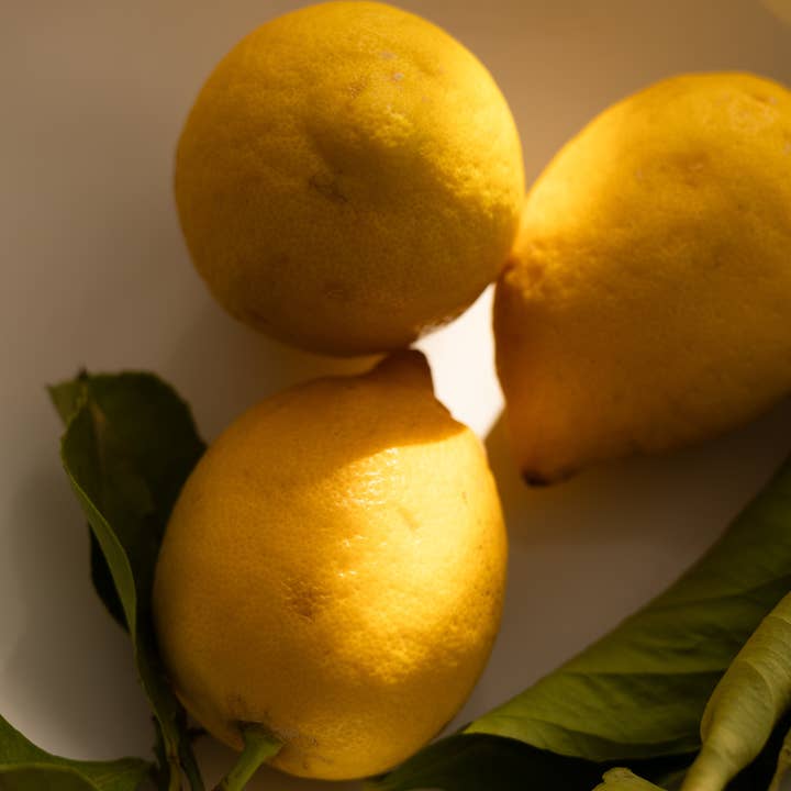 MySenso - Wholesale Reed Diffuser - N°83 Limone - I grandi CLASSICI - REFILL1