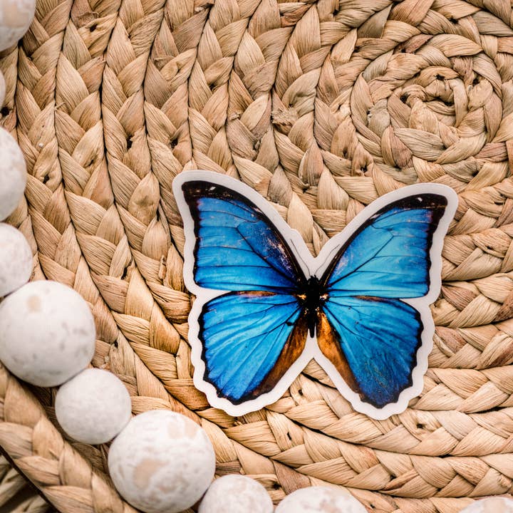 Savannah and James Co - Wholesale Sticker - Blue Butterfly Clear, Vinyl Sticker, 3x3 in.1