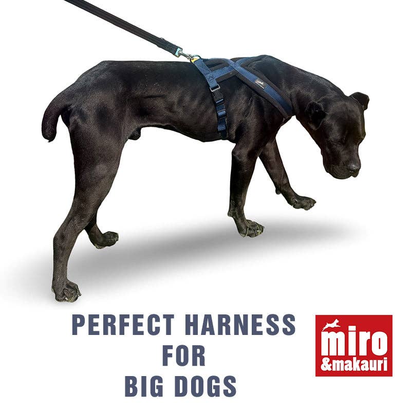 Miro & Makauri – wholesale Pet harness – Dog – Miro & Makauri Premium Fleece Padded Dog Harness9