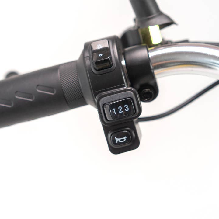 39F Inc. - Wholesale Bike/Scooter - Kids - Foldable Electric Tricycle for Adults with 350W Motor11