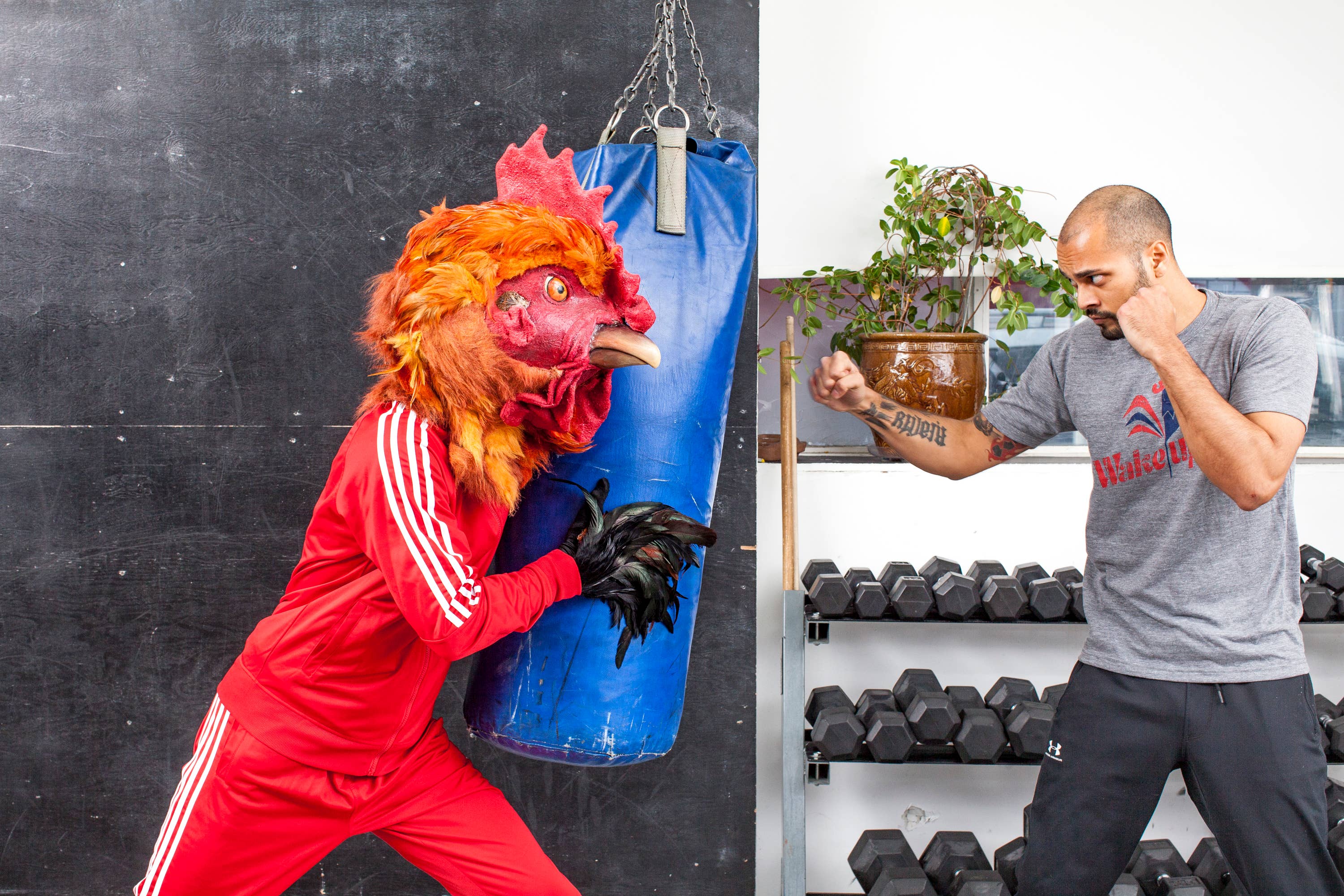 Wake-Ups - Wholesale Voedingssupplement/vitamine - Wake-Ups 200 mg cafeïne-tabletten | Cognitieve prestaties6