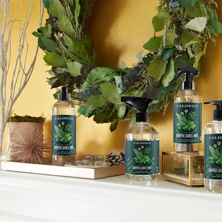 REMOVED BRAND - Wholesale Dish Soap - Juniper Laurel Mint Biodegradable Dish Soap with Bark & Aloe