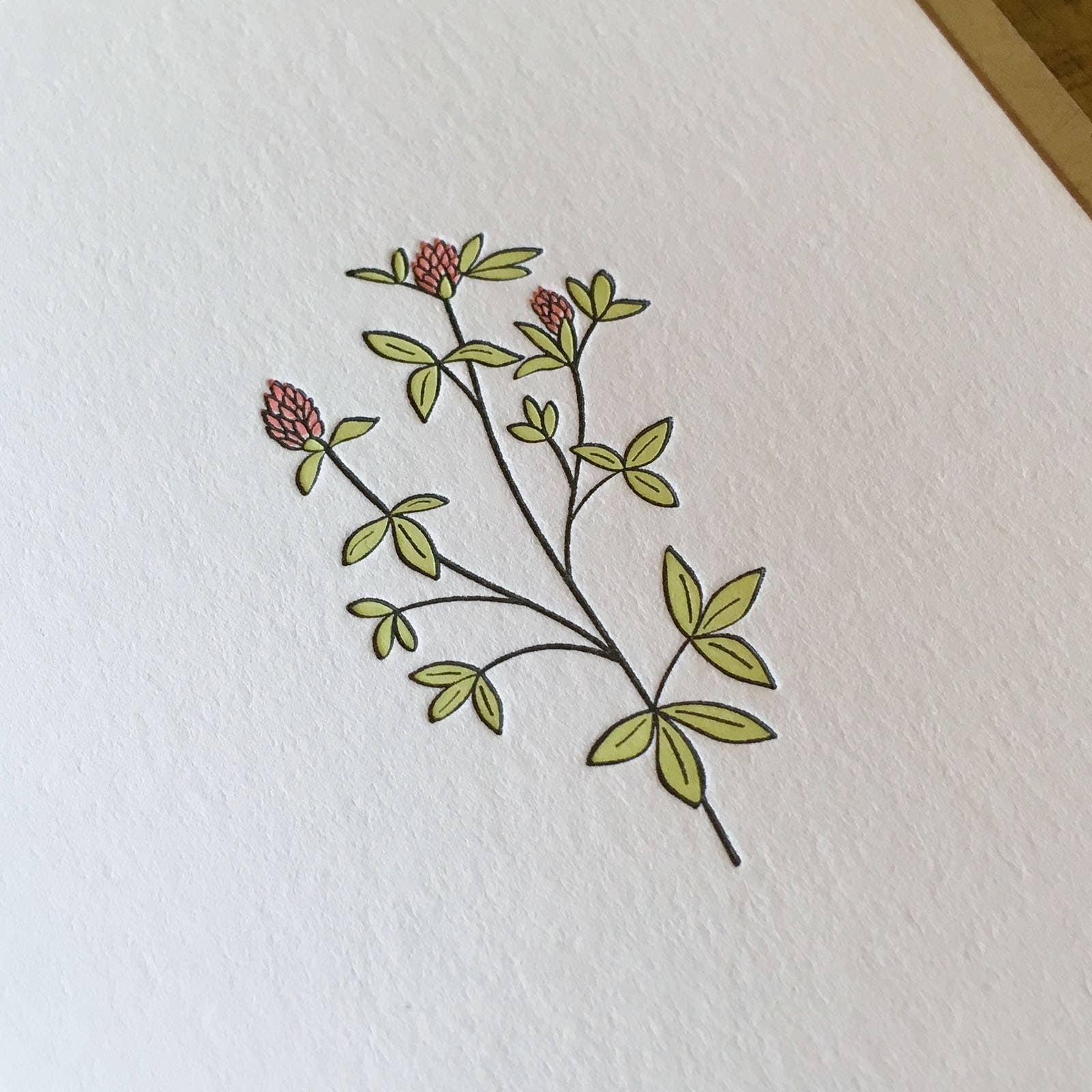 Green Bird Press - Wholesale Everyday Greeting Card - Red Clover Wildflower Letterpress Card2