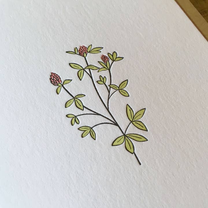 Green Bird Press – wholesale Everyday greeting card – Red Clover Wildflower Letterpress Card2