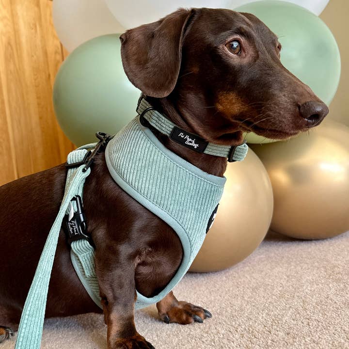 Pet Pooch Boutique - Wholesale Pet leash – Dog - Sage Green Cord Dog Lead (Spring/soft)1