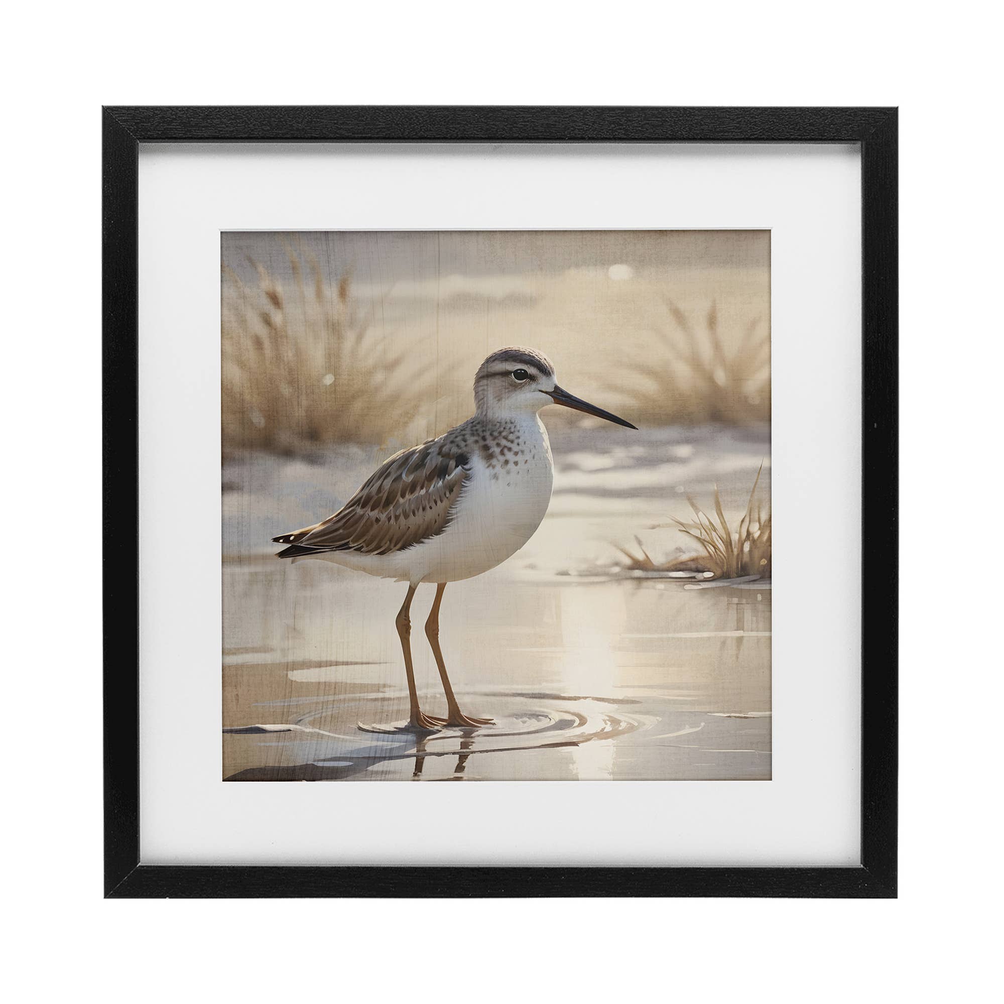 Stupell Industries - Wholesale Wall Sign - Sunlit Sandpiper in Shallow - Print Under Glass Wall Art0