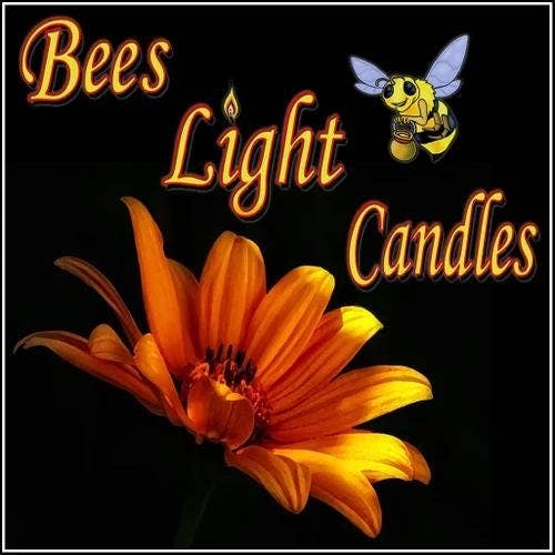 Bees Light Candles - Wholesale Tea Light Candles - 100 Pack of Clear Tealight Candle Boxes - Holds 6 Candles Per Box1