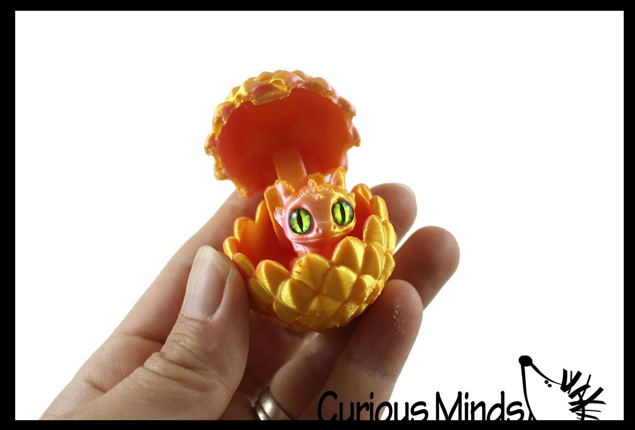 Curious Minds Toys - Wholesale Fidget Toy - Kids - 1 3D Printed Baby Dragon in Egg Fidget Toy - Unique Sensory 4