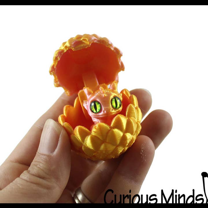 Curious Minds Toys - Wholesale Fidget Toy - Kids - 1 3D Printed Baby Dragon in Egg Fidget Toy - Unique Sensory 4