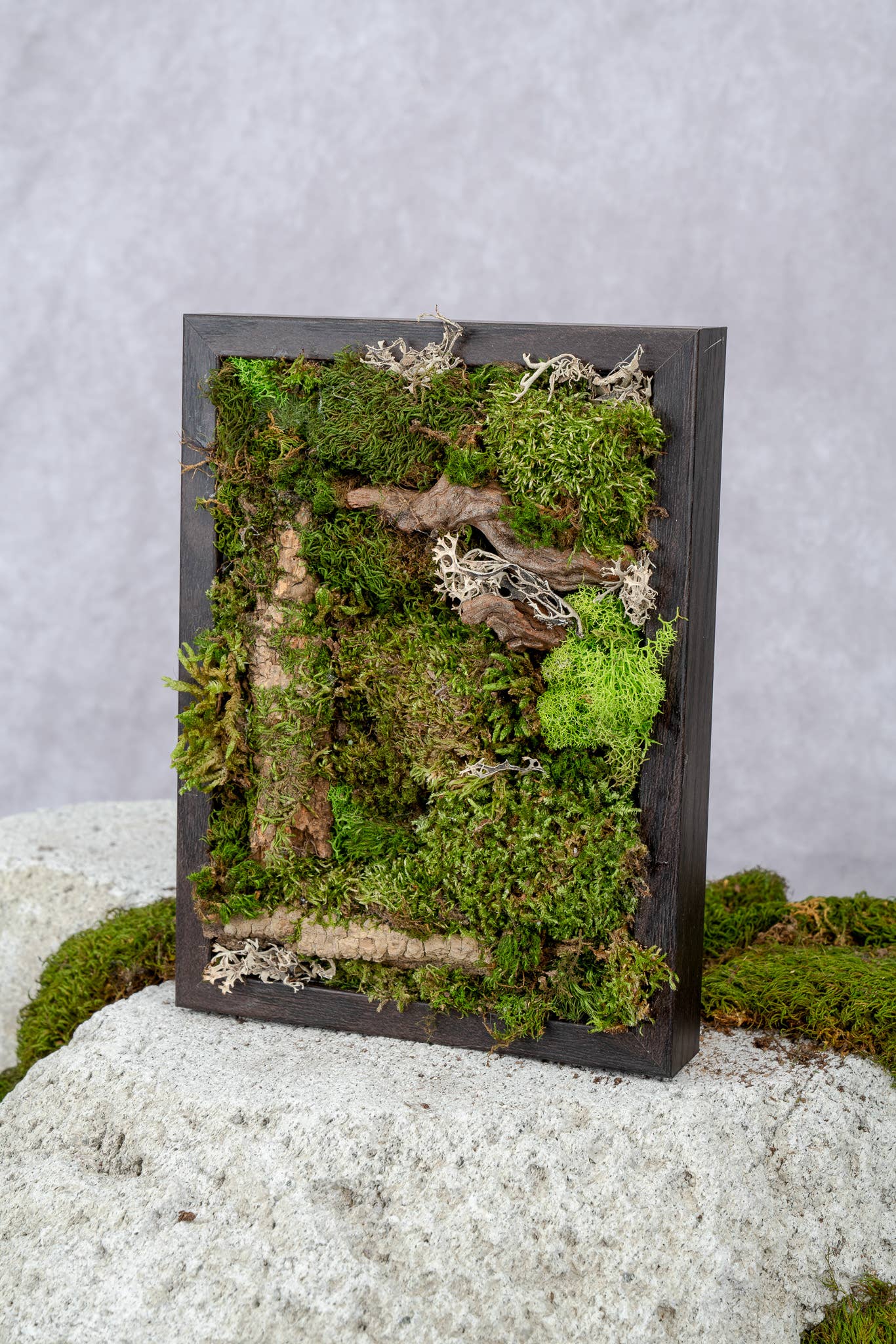TERRART NYC - Wholesale Wall Planter - Nature's Canvas Moss Wall2