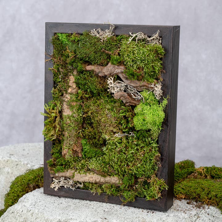 TERRART NYC - Wholesale Wall Planter - Nature's Canvas Moss Wall2