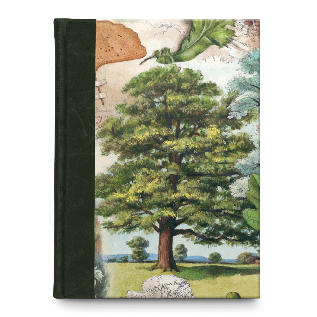 Bomo Art Budapest – Großhandel Tagebuch – J7 Blanko-Tagebuch (Halbleder gebunden)2