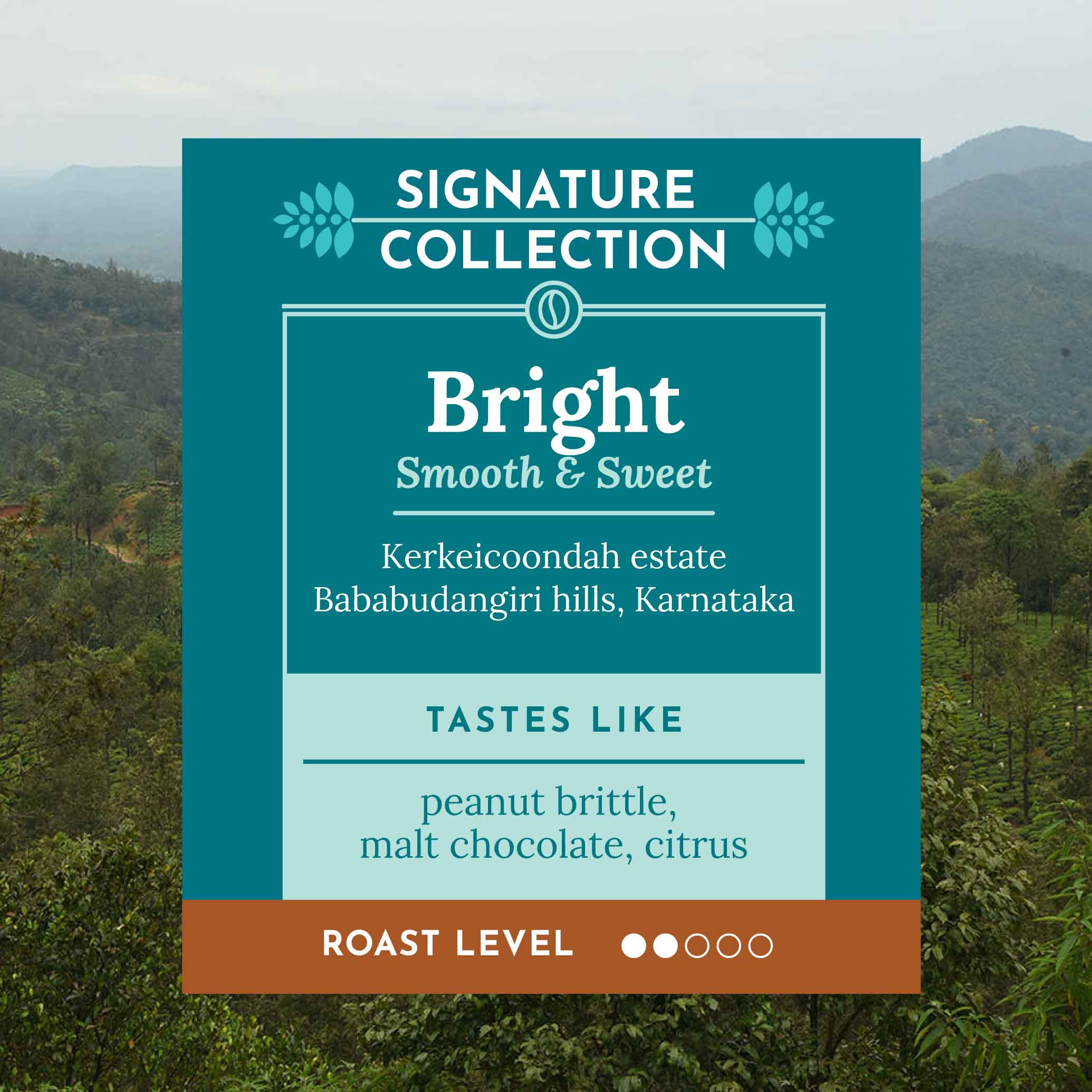 Kaveri Coffee Works - Wholesale Coffee Beans - BRIGHT | Kerkeicoondah | Medium-Light Roast1