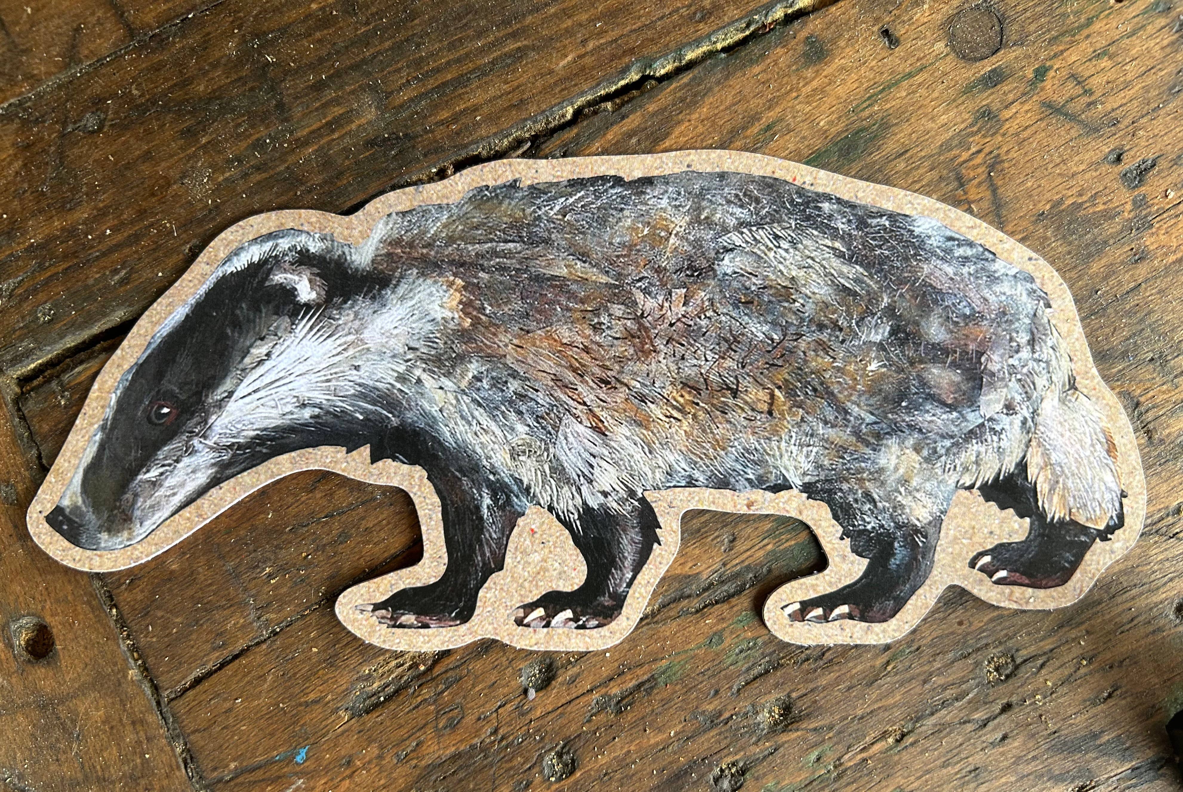 Clare O’Neill Artworks - Wholesale Postcard - Large Custom cut Badger postcard 1