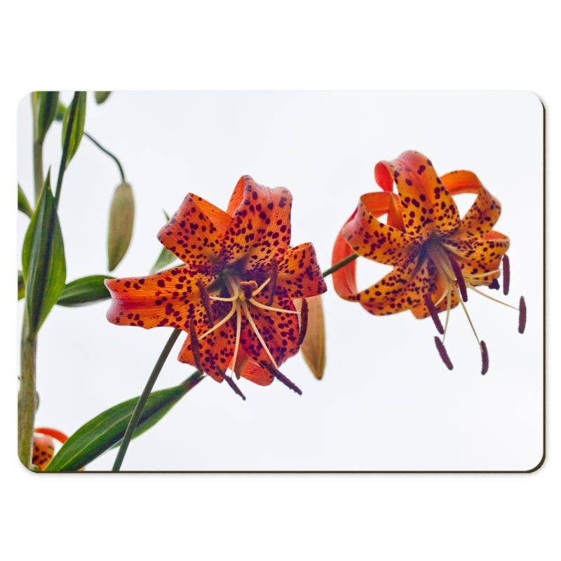 Gregory Dennis Design - Wholesale Placemat - 6 Floral Placemats  - Lilium3