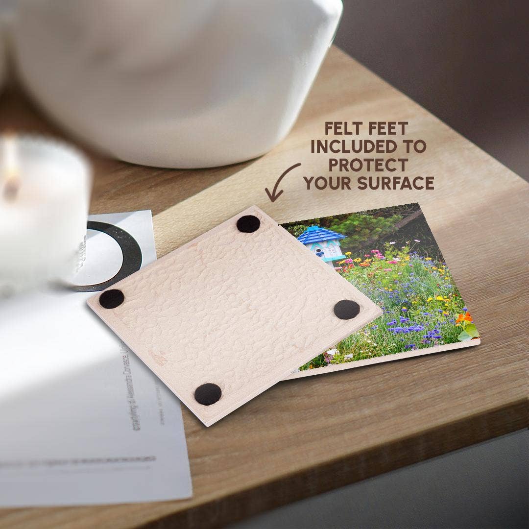 3dRose - Vente Sous-verre - 3dRose, États-Unis, Oregon. Cannon Beach. Jardin avec nichoir blanc au toit bleu, Dessous de verre3