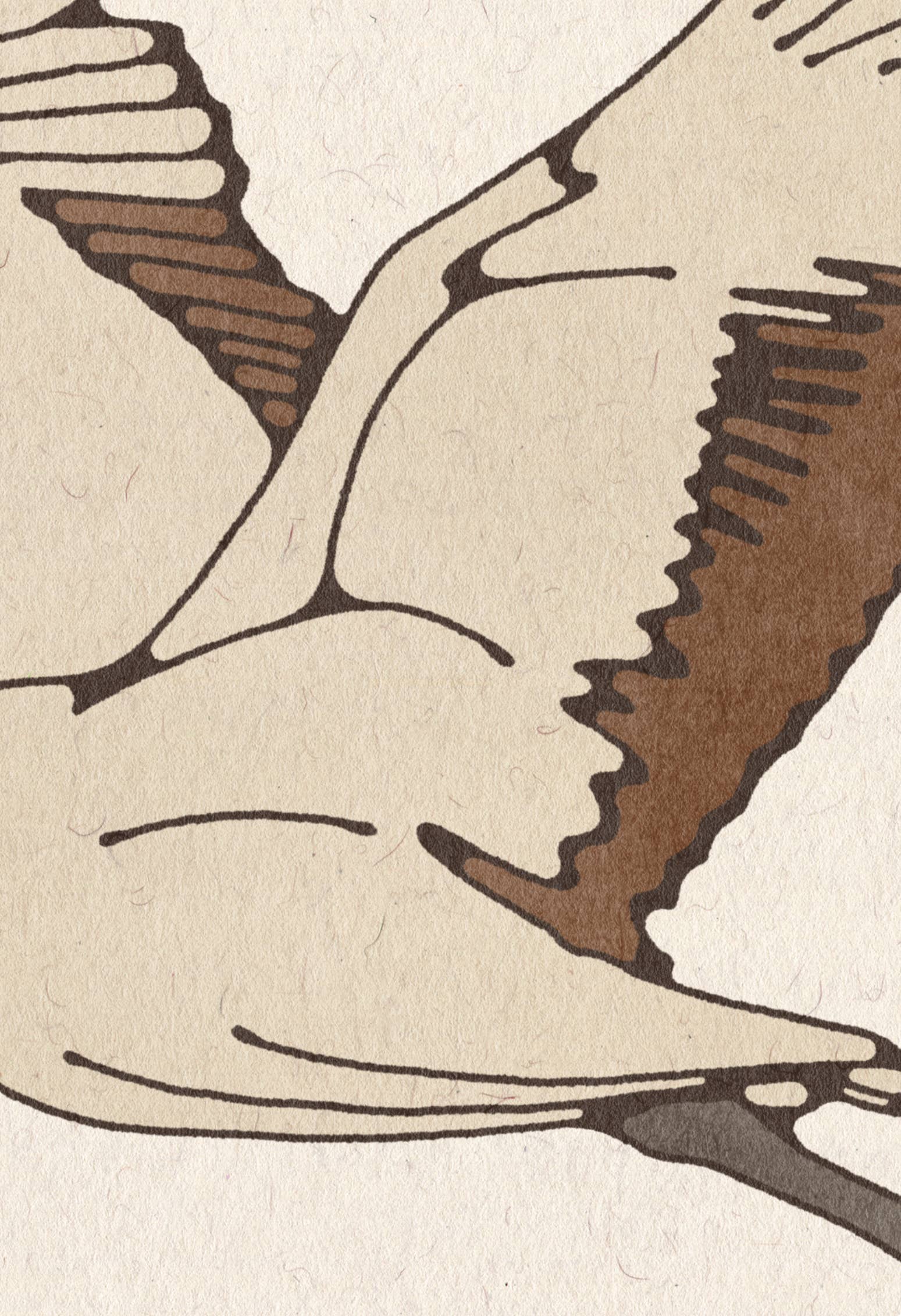 Brooke Finally - Wholesale Art Print - 8x8 Crane Art Print1