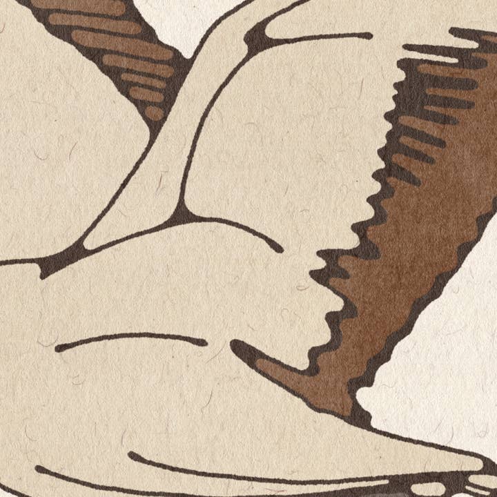 Brooke Finally - Wholesale Art Print - 8x8 Crane Art Print1