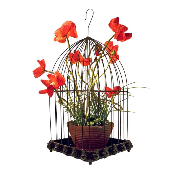 Wilco Home - Wholesale Bird house - Desert Rose Design Bird Cage With Hook/Removeable Tray8