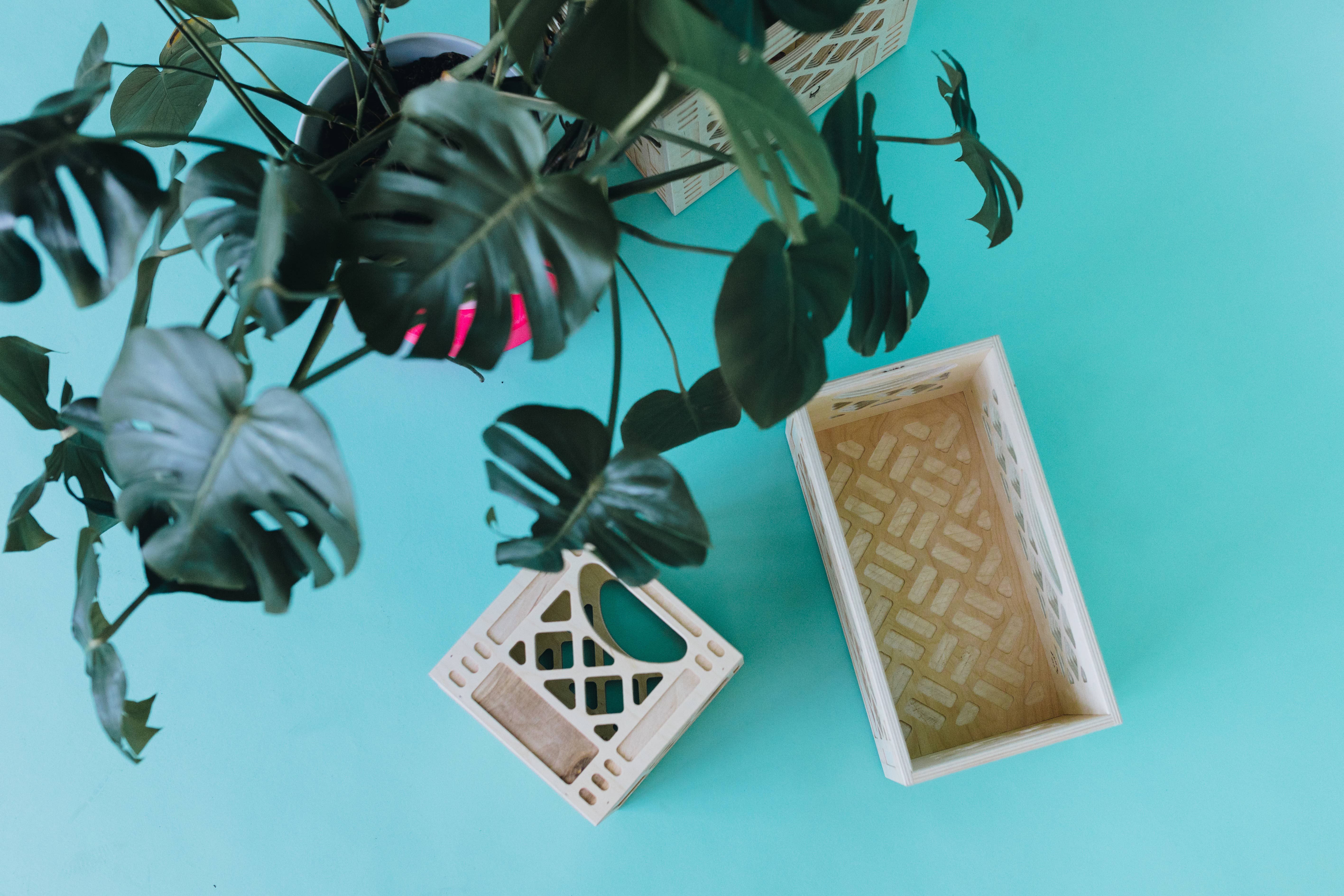 WAAM Industries - Wholesale Storage Bin - Wooden Milk Crate - Classic Browser7