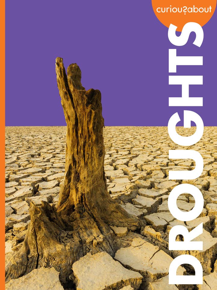 Curious about Droughts for wholesale by Amicus Publishing