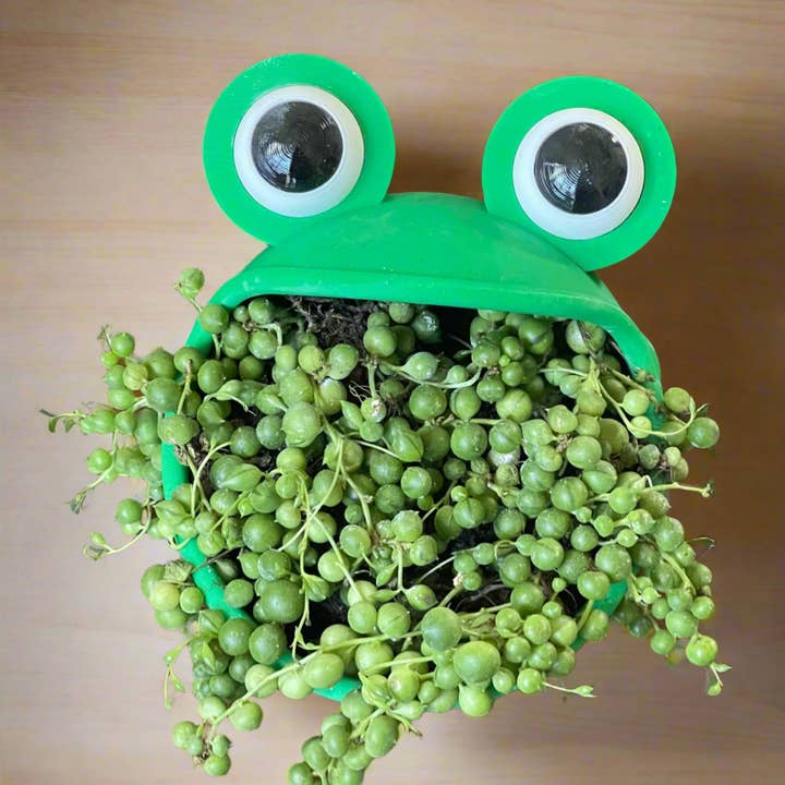 Genetic Designs - Wholesale Plant Pot - Big Mouth Frog Planter1