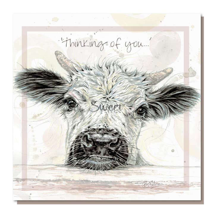 RB005 - White Park Calf 'Denkt an dich' für den Großhandel von Sweet Design