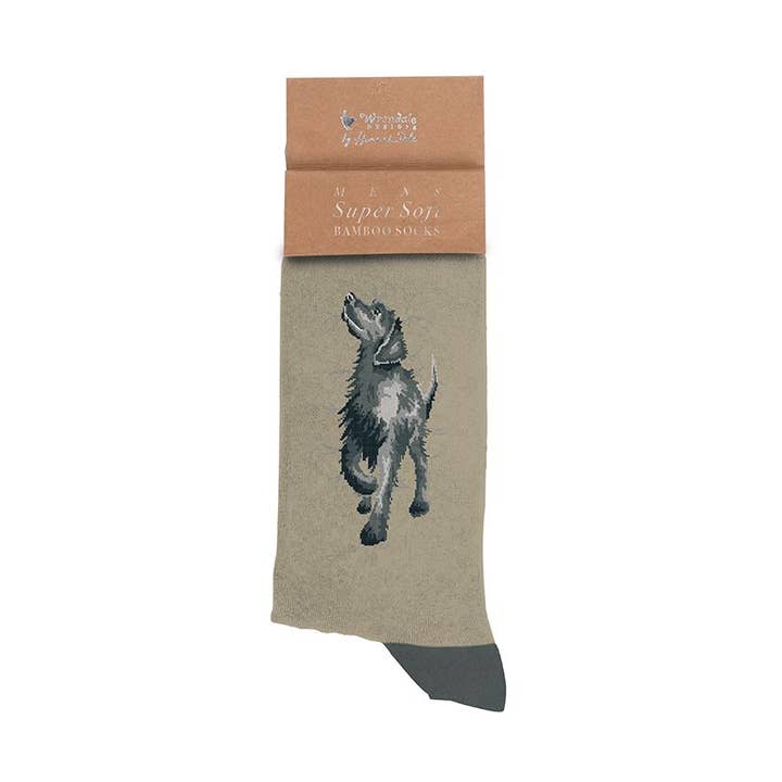 Black Labrador Men's Sock - Walkies for wholesale by Wrendale Designs