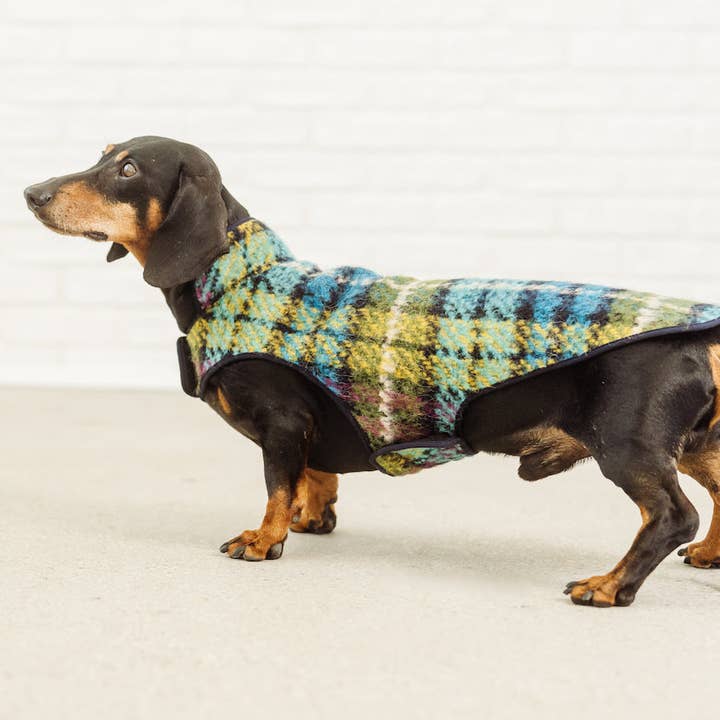 Dachshund Couture - Wholesale Pet Coat - Dog - Dachshund coat Chagall tartan