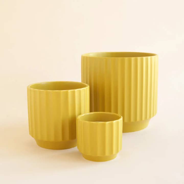 Jungle Club - Wholesale Plant Pot - Monroe Planter | Palm