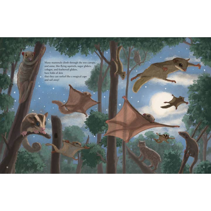 Peter Pauper Press - Wholesale Book - Kids - All the Mammals in the World