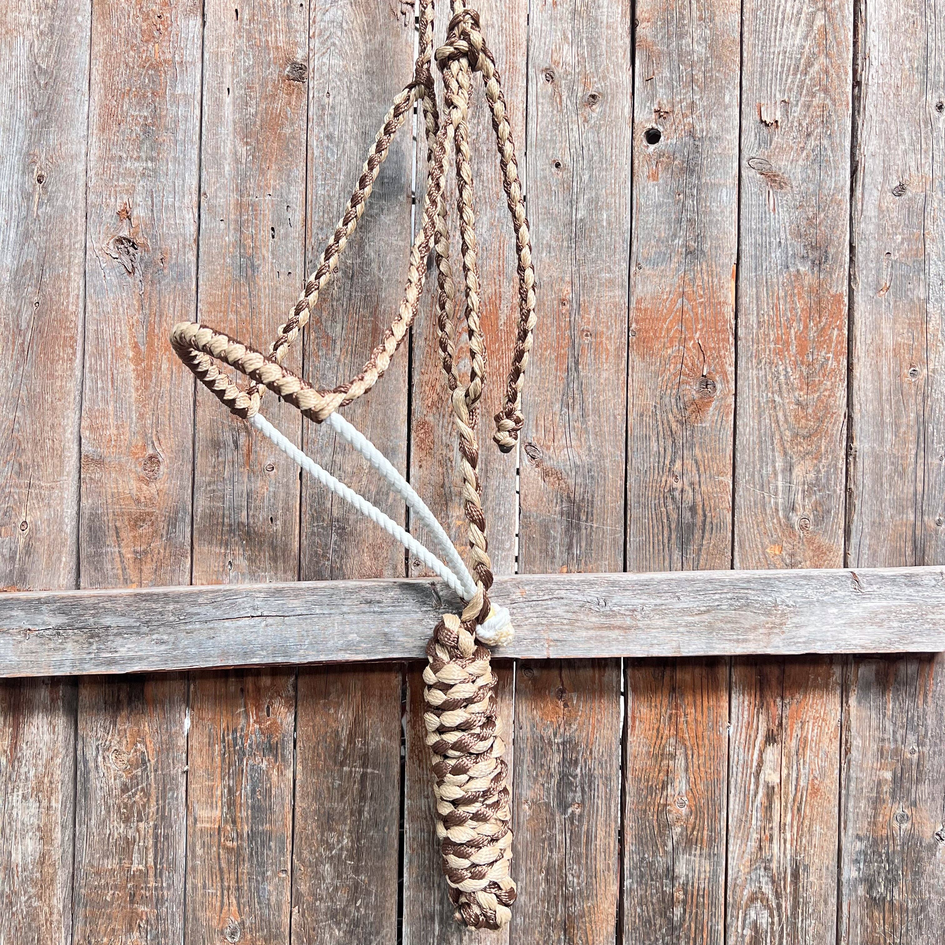 Rodeo Drive - Wholesale Horseback Riding Gear - Lariat Mule Tape Halters - Assorted Double Colors-7