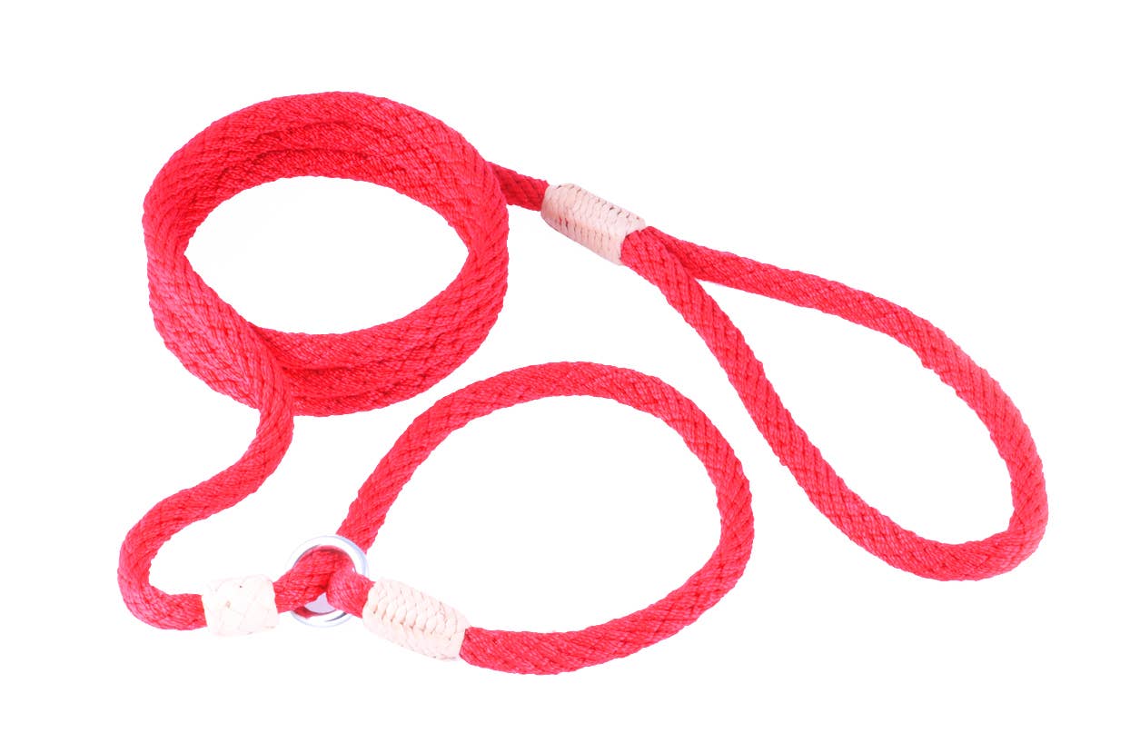 Alvalley - Wholesale Pet Leash - Dog - Nylon Slip Lead With Stopper205