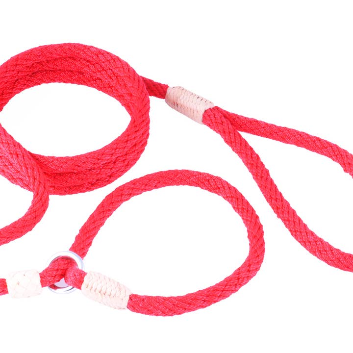 Alvalley - Wholesale Pet Leash - Dog - Nylon Slip Lead With Stopper205