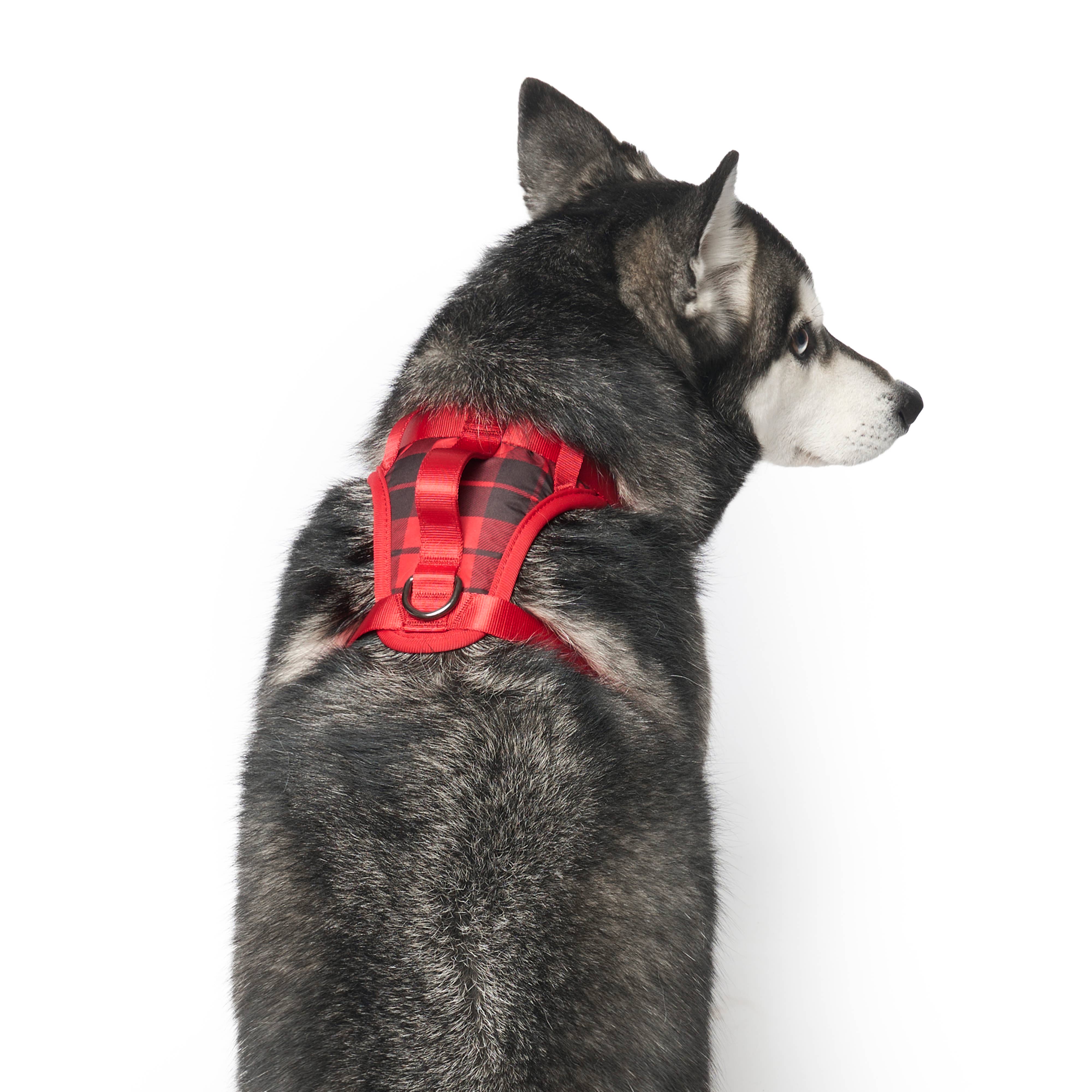 Canada Pooch - Wholesale Pet Harness - Dog - Everything Harness- No-Pull Dog Harness7