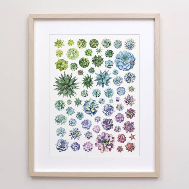 Imprimé de rosettes succulentes pour la vente par Aaron Apsley Artwork